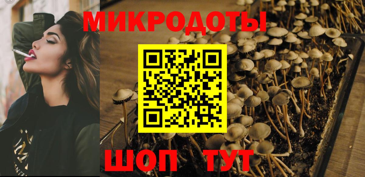 Псилоцибиновые грибы Magic Shrooms  Канаш  Псилоцибиновые грибы ЛСД 