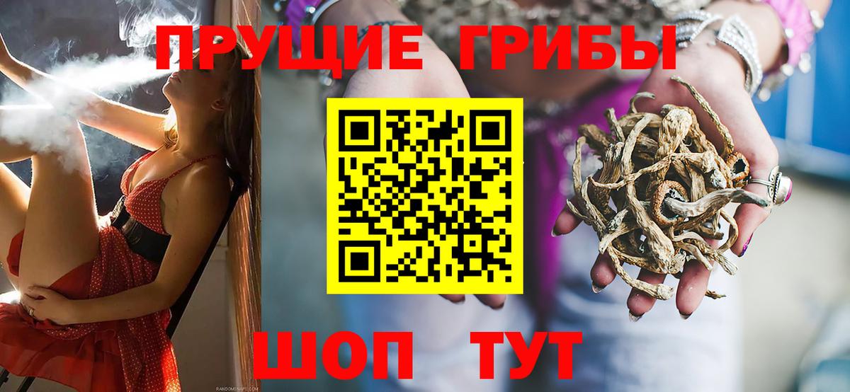 Псилоцибиновые грибы мицелий  Вход с VPN  Канаш  Псилоцибиновые грибы мицелий 