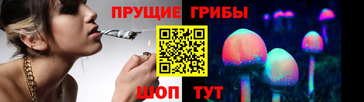 Псилоцибиновые грибы прущие грибы Канаш