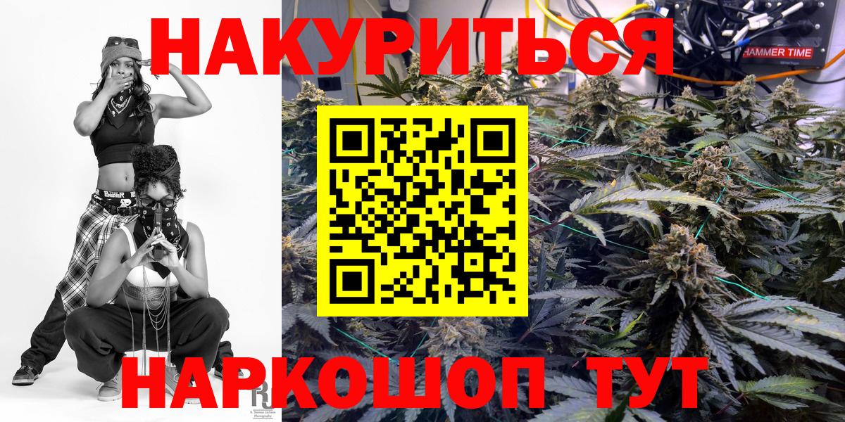 Бошки Шишки конопля Канаш